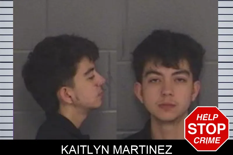 Kaitlyn Martinez mugshot – Barrow County , Georgia Kaitlyn Martinez mugshot