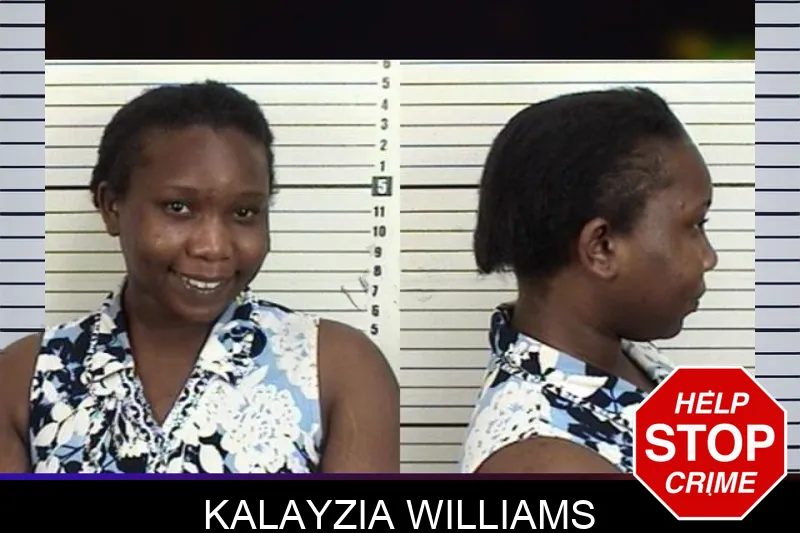 Kalayzia Williams mugshot – Camden County , Georgia Kalayzia Williams mugshot