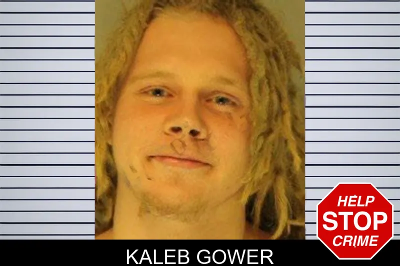 Kaleb Gower mugshot