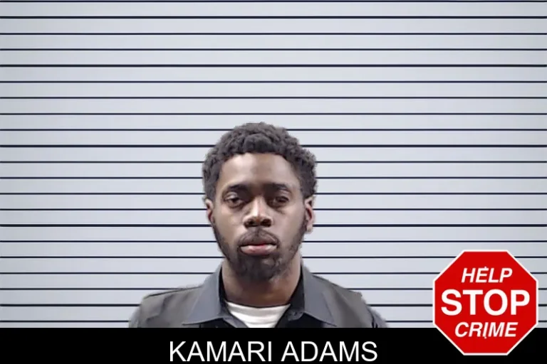 Kamari Adams mugshot – DeKalb County , Georgia Kamari Adams