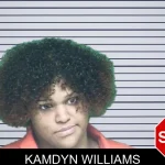Kamdyn Williams mugshot – Appling County , Georgia Kamdyn Williams mugshot