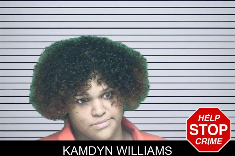 Kamdyn Williams mugshot – Appling County , Georgia Kamdyn Williams