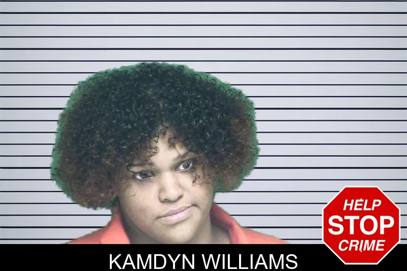 Kamdyn Williams mugshot – Appling County , Georgia Kamdyn Williams mugshot