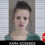 Kara Sosebee mugshot – Whitfield County , Georgia Kara Sosebee mugshot