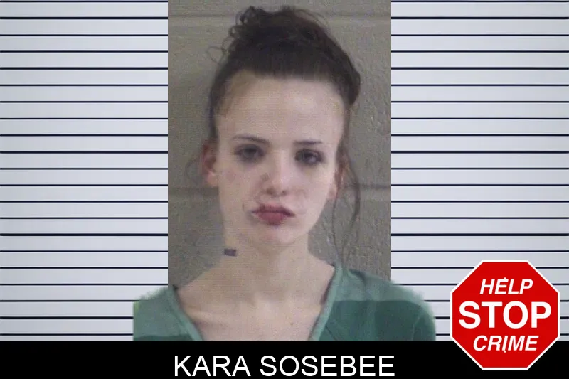 Kara Sosebee mugshot