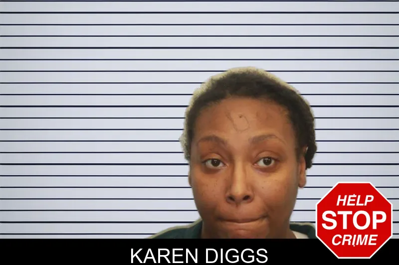 Karen Diggs mugshot