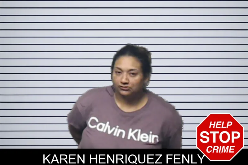 Karen Henriquez Fenly mugshot – DeKalb County , Georgia Karen Henriquez Fenly mugshot