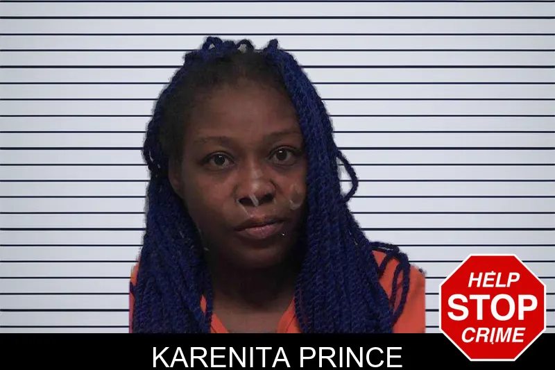 Karenita Prince mugshot