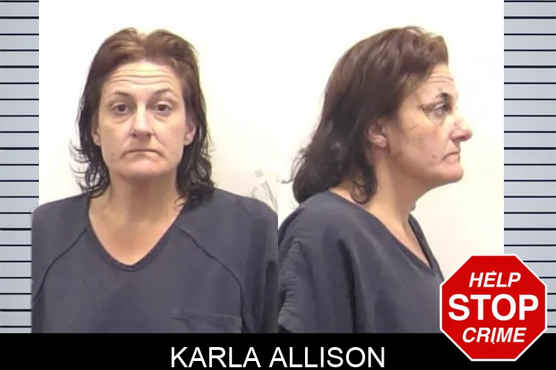 Karla Allison mugshot