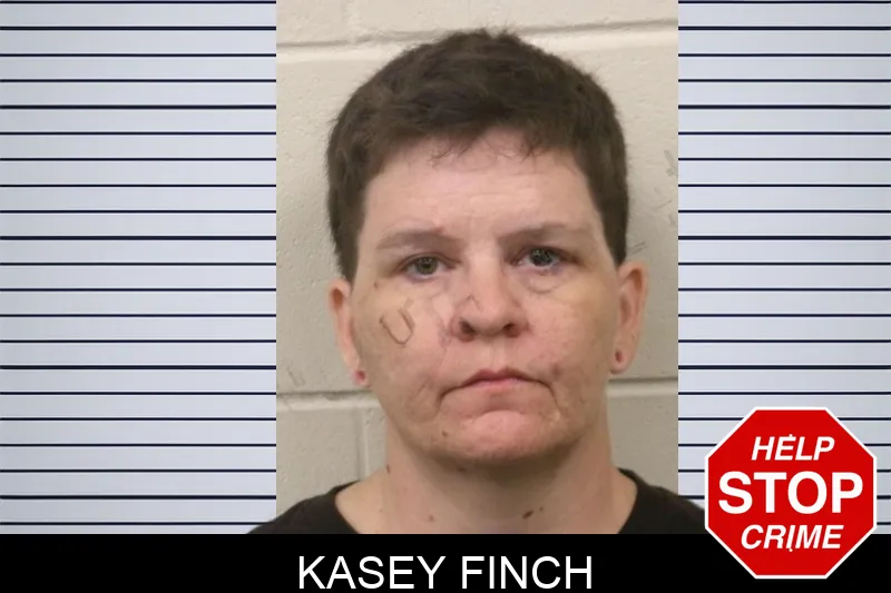 Kasey Finch mugshot