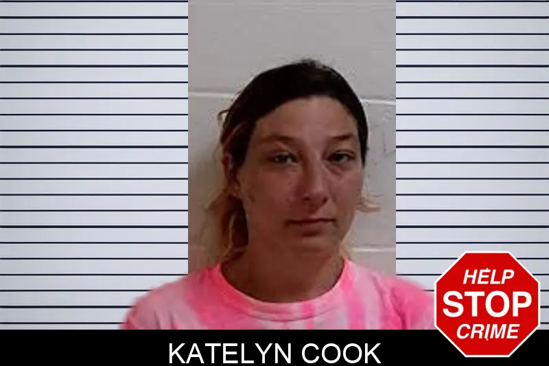 Katelyn Cook mugshot – Decatur County , Georgia Katelyn Cook mugshot