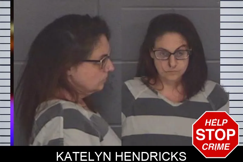 Katelyn Hendricks mugshot – Barrow County , Georgia Katelyn Hendricks mugshot
