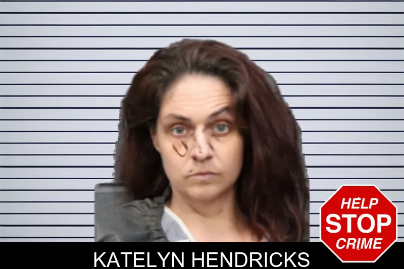 Katelyn Hendricks mugshot