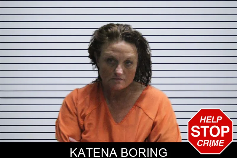 Katena Boring mugshot – Murray County , Georgia Katena Boring mugshot