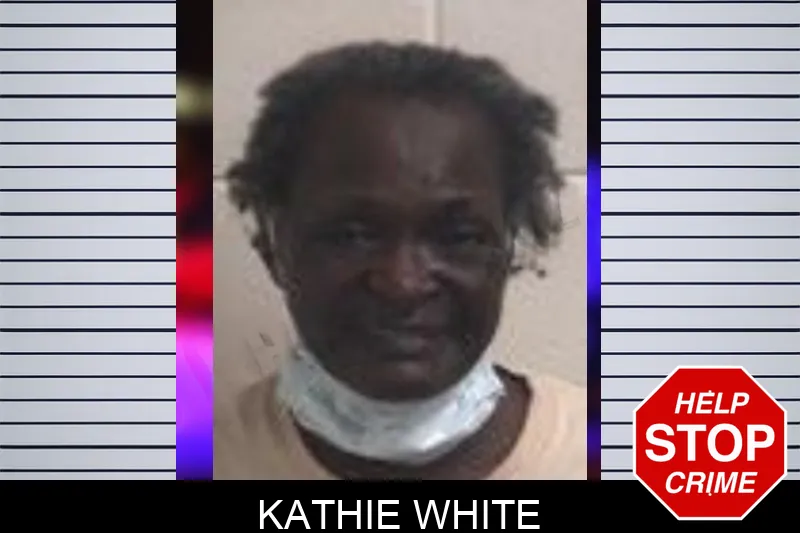 Kathie White mugshot – Henry County , Georgia Kathie White mugshot
