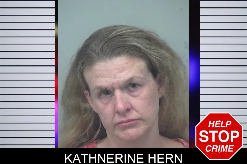 Kathnerine Hern mugshot – Gwinnett County , Georgia Kathnerine Hern mugshot