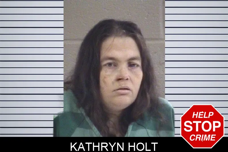 Kathryn Holt mugshot – Whitfield County , Georgia Kathryn Holt mugshot