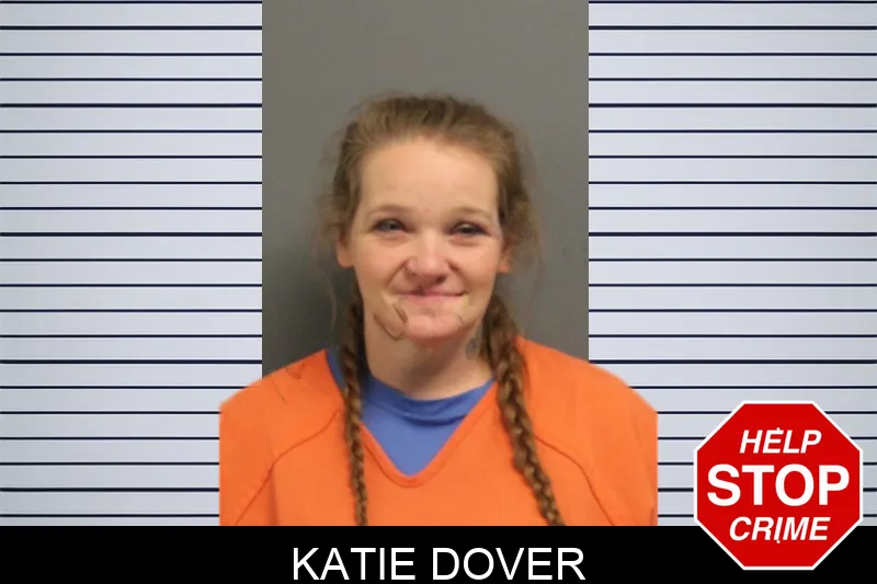 Katie Dover mugshot – Lumpkin County , Georgia Katie Dover mugshot