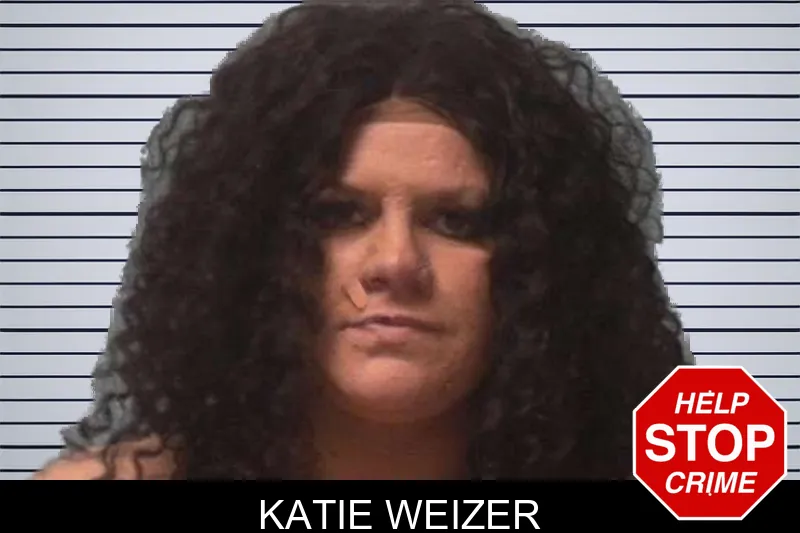 Katie Weizer mugshot – Franklin County , Georgia Katie Weizer mugshot