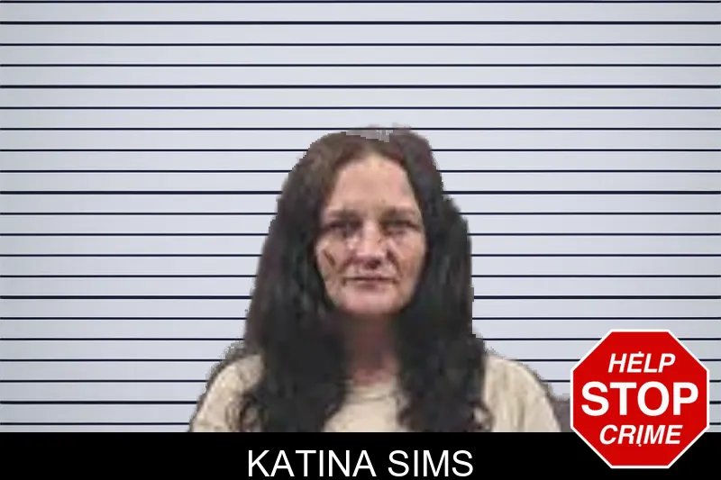 Katina Sims mugshot
