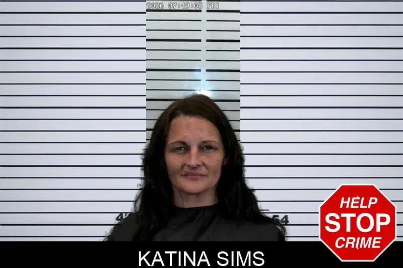 Katina Sims mugshot – Hart County , Georgia Katina Sims mugshot