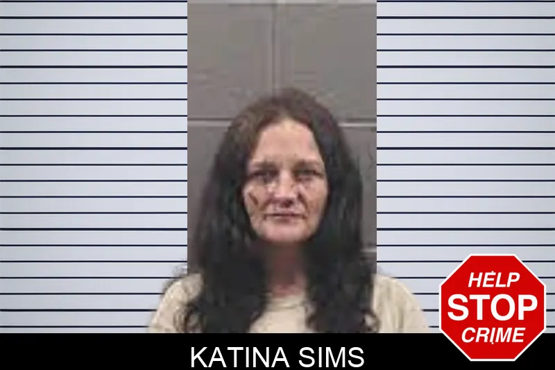 Katina Sims mugshot