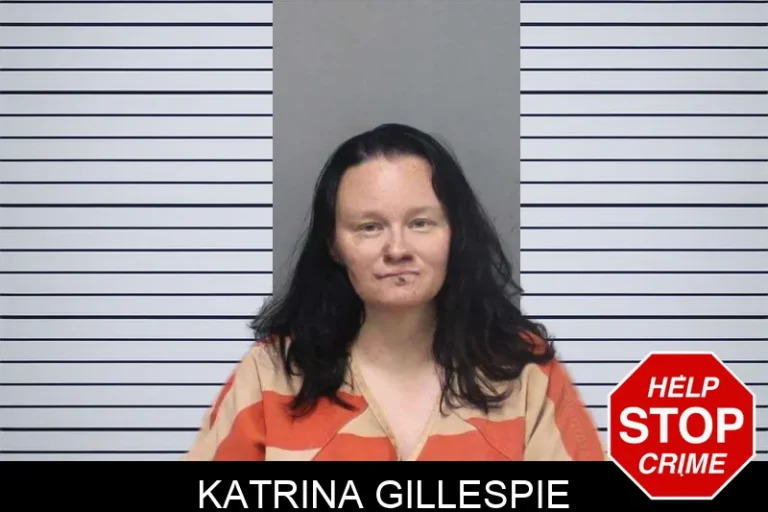 Katrina Gillespie mugshot – White County , Georgia Katrina Gillespie
