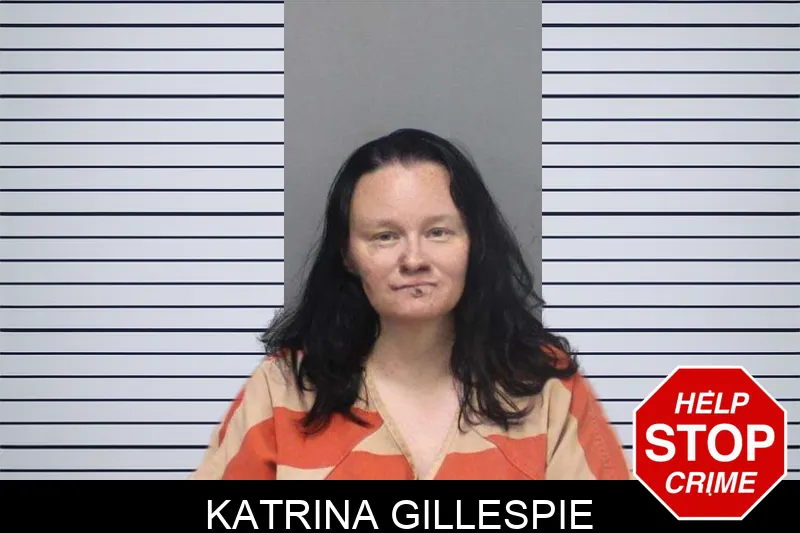 Katrina Gillespie mugshot