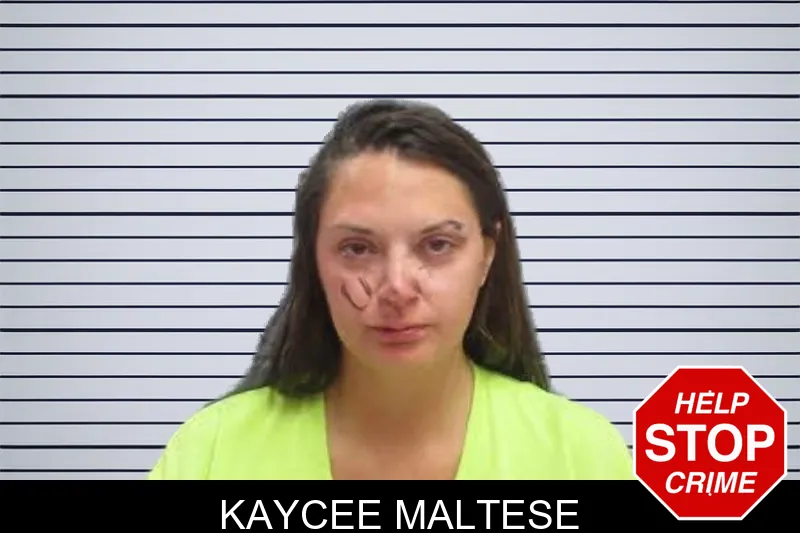 Kaycee Maltese mugshot