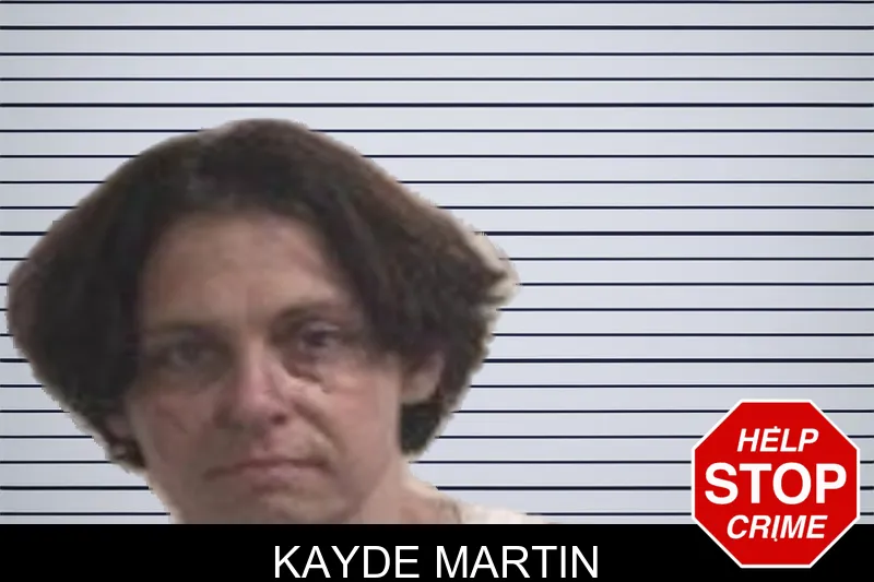 Kayde Martin mugshot – Henry County , Georgia Kayde Martin mugshot