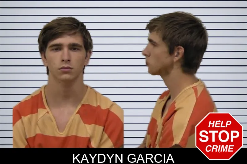 Kaydyn Garcia mugshot – Paulding County , Georgia Kaydyn Garcia mugshot