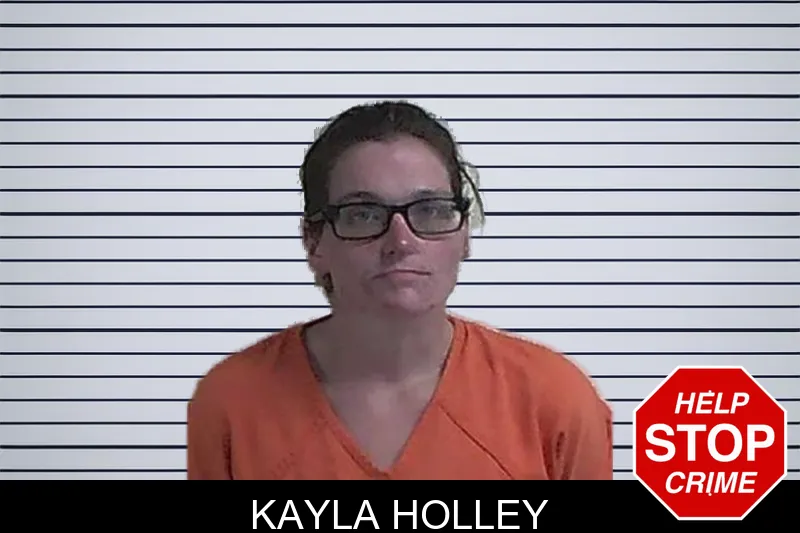 Kayla Holley mugshot – Fannin County , Georgia Kayla Holley mugshot