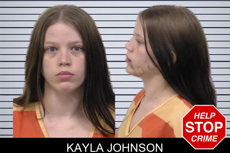 Kayla Johnson mugshot – Paulding County , Georgia Kayla Johnson mugshot