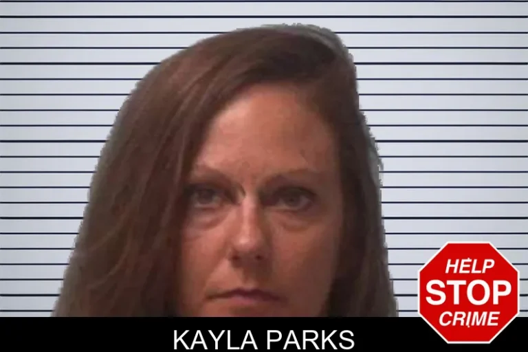 Kayla Parks mugshot – Franklin County , Georgia Kayla Parks