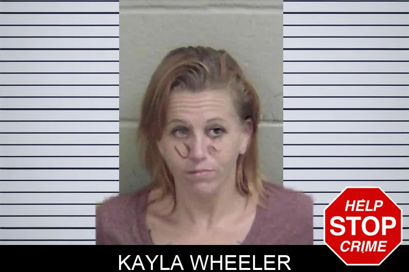 Kayla Wheeler mugshot