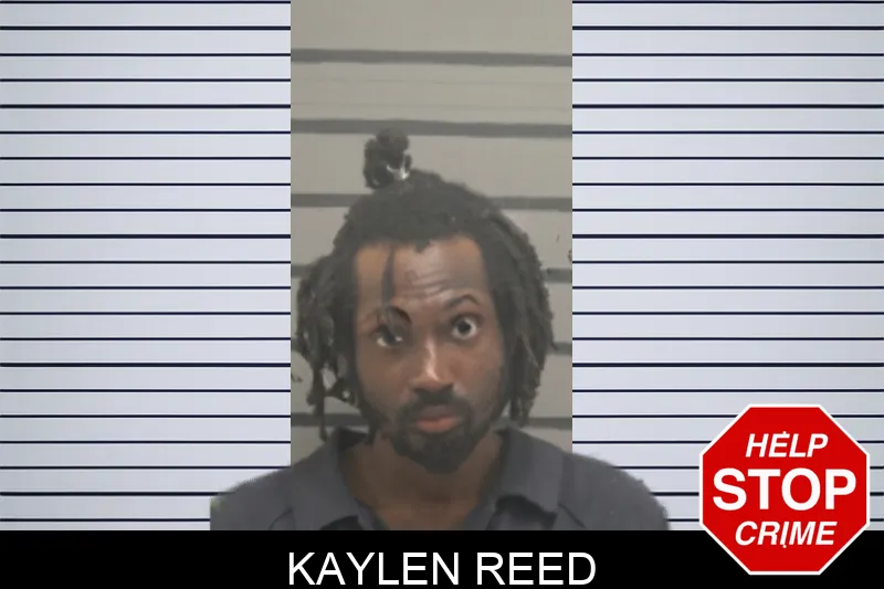 Kaylen Reed mugshot