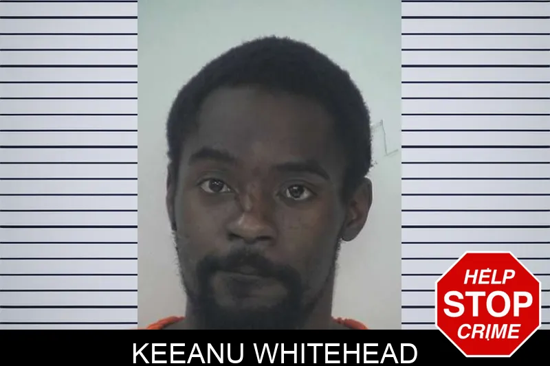 Keeanu Whitehead mugshot