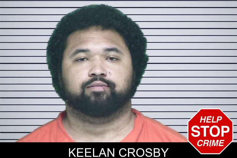 Keelan Crosby mugshot – Appling County , Georgia Keelan Crosby mugshot