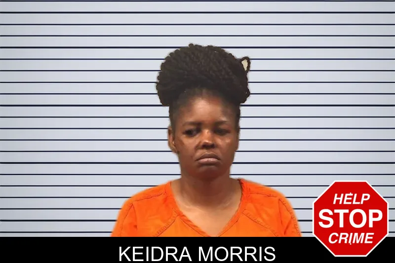 Keidra Morris mugshot – Bleckley County , Georgia Keidra Morris mugshot