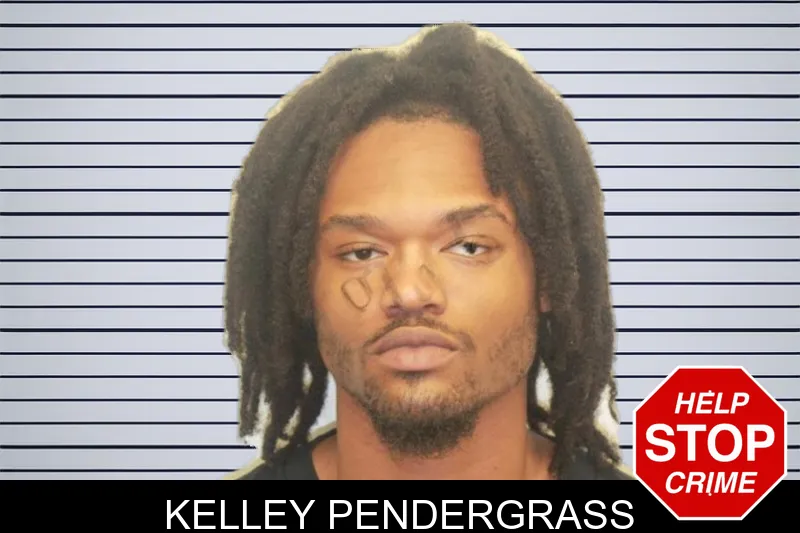 Kelley Pendergrass mugshot – Chatham County , Georgia Kelley Pendergrass mugshot
