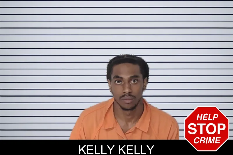 Kelly Kelly mugshot