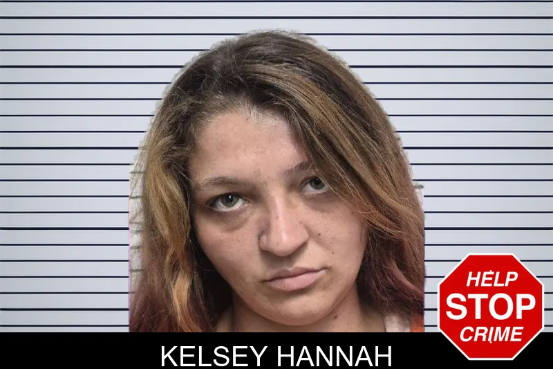 Kelsey Hannah mugshot – Dade County , Georgia Kelsey Hannah mugshot