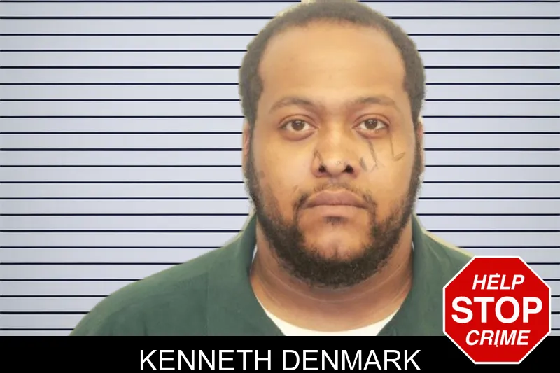 Kenneth Denmark mugshot – Chatham County , Georgia Kenneth Denmark mugshot