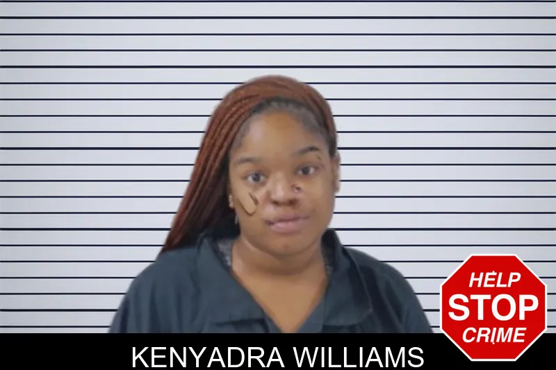 Kenyadra Williams mugshot – Lowndes County , Georgia Kenyadra Williams mugshot
