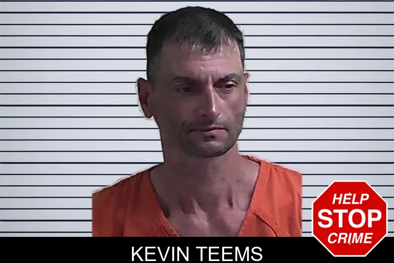 Kevin Teems mugshot – Fannin County , Georgia Kevin Teems mugshot