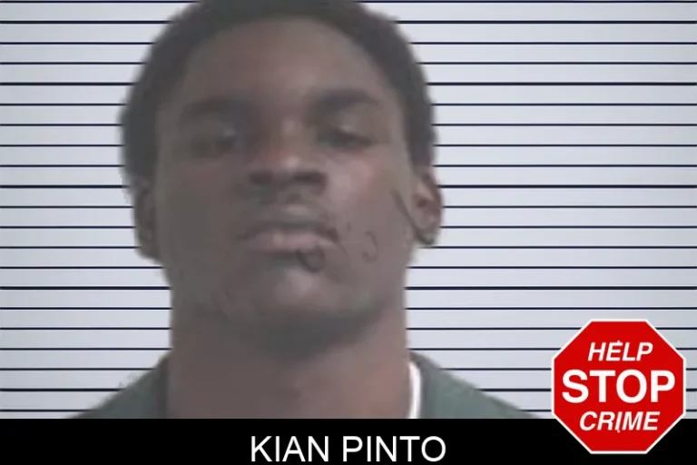 Kian Pinto mugshot – Henry County , Georgia Kian Pinto