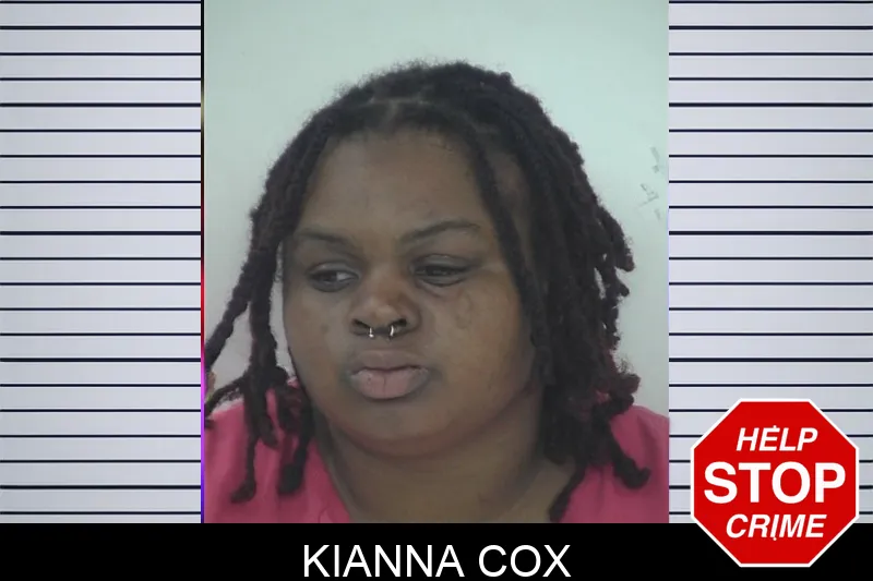 Kianna Cox mugshot – Fayette County , Georgia Kianna Cox mugshot