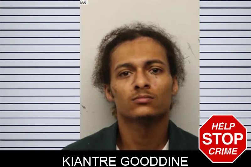 Kiantre Gooddine mugshot – Chatham County , Georgia Kiantre Gooddine mugshot