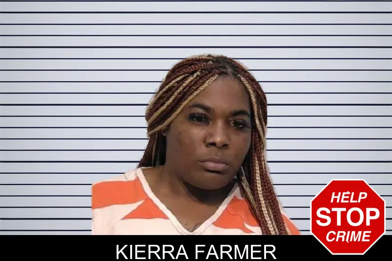Kierra Farmer mugshot – Bartow County , Georgia Kierra Farmer mugshot
