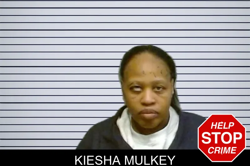 Kiesha Mulkey mugshot – Fulton County , Georgia Kiesha Mulkey mugshot